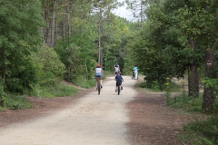 pistes cyclables près saint jean de monts