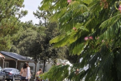 location de vélos st jean de monts au camping