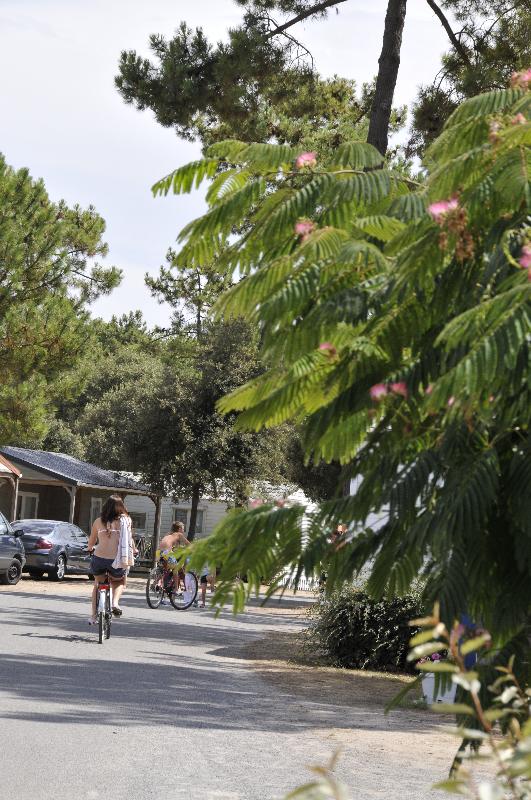 balade à vélo à Saint Jean de Monts séjour à saint jean de monts