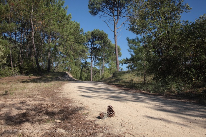 camping au coeur de Saint Jean de Monts