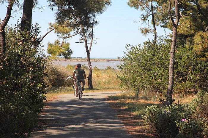 camping proche pistes cyclables Saint Jean de Monts