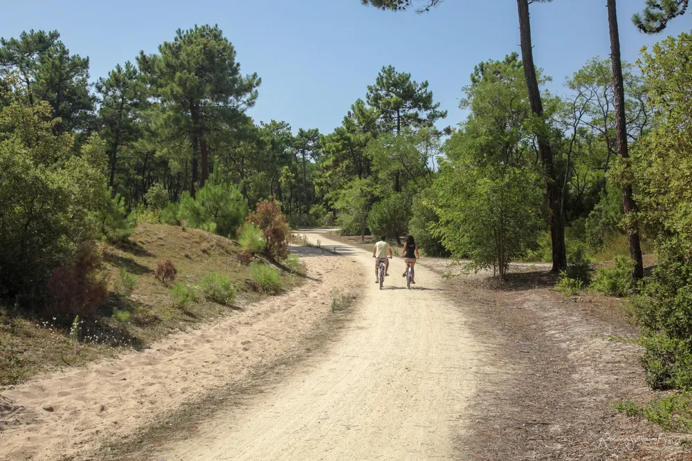 piste cyclable en Vendée proche du camping 4 étoiles le california