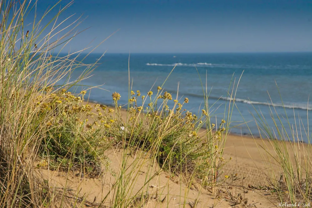 Plage naturelle aux alentours du camping le california