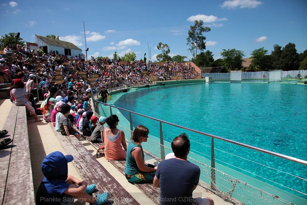 Spectacle aquatique à Planète Sauvage